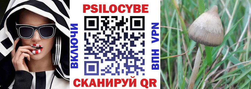 Галлюциногенные грибы Magic Shrooms  blacksprut ONION  Волгодонск 